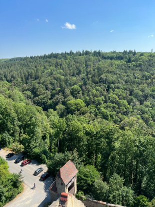 Neckarsteig, ab Mosbach
26. Juni 2023